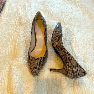 Cole Haan snake skin Heels